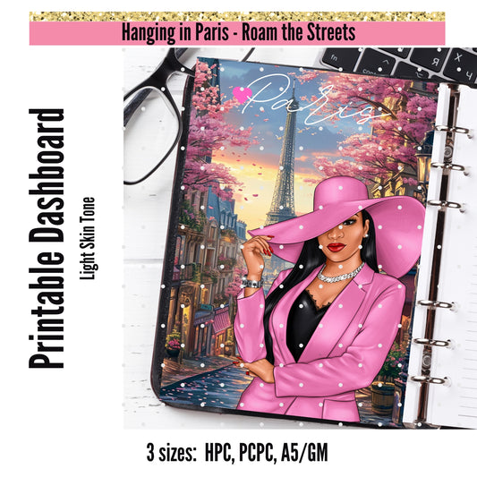 Dashboard. Roaming Streets of Paris LT